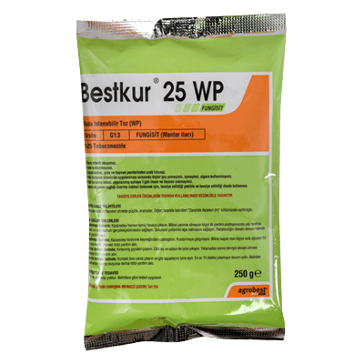 bestkur-25-wp